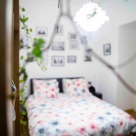 Fred'S Home Guest Room, Vieuxport, Climatise, Friendly Marsilia Exterior foto